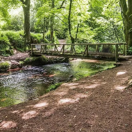 Σπίτι διακοπών Traditional Thatched *